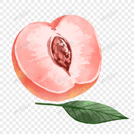 WWW,698av·COM网站APP WWW,698av·COM网站APP